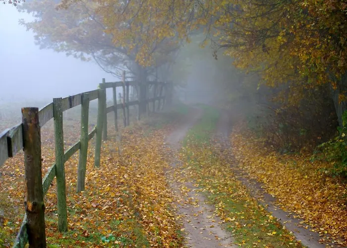 Gosciniec Figlowka Alloggio per agriturismo Laskowice (Pomerania)